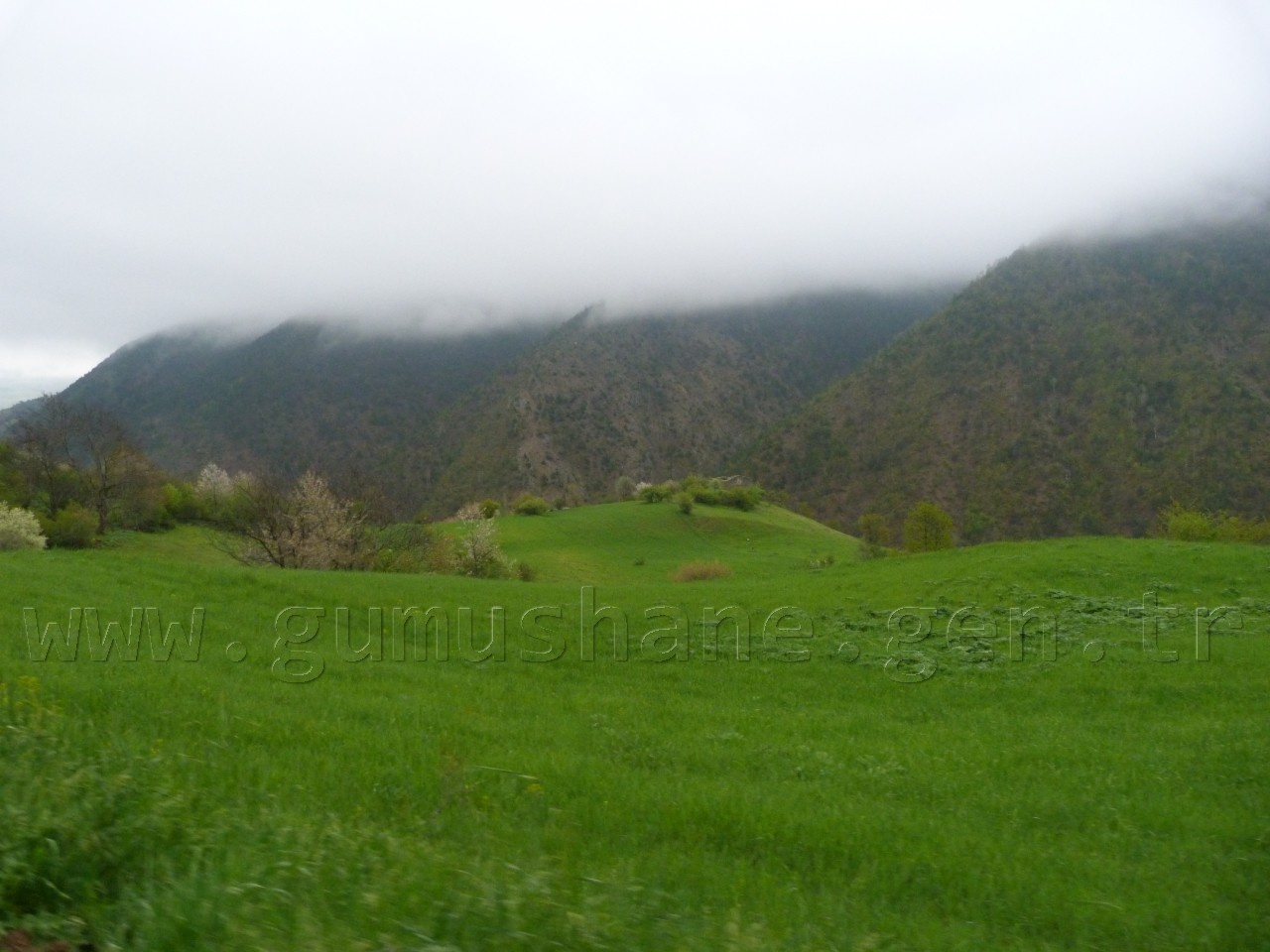 'Güvemli’de katliam istemiyoruz!' 13