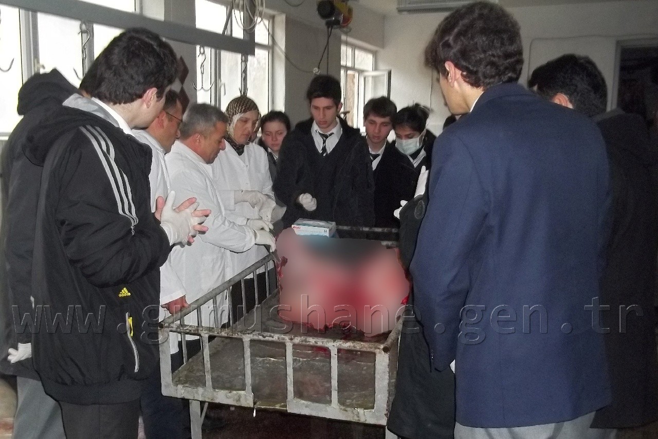 Fen Lisesi Öğrencileri Mezbaha'da 1