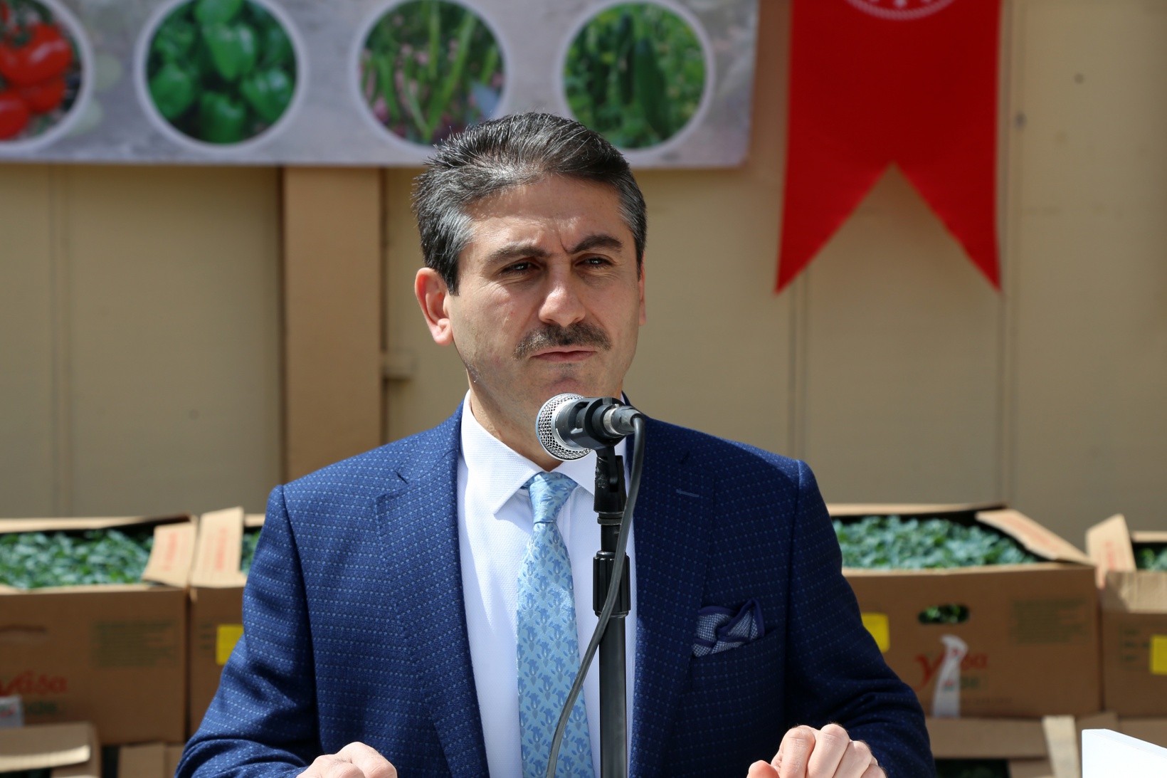 Gümüşhane’de üreticilere 150 bin sebze fidesi dağıtıldı 1