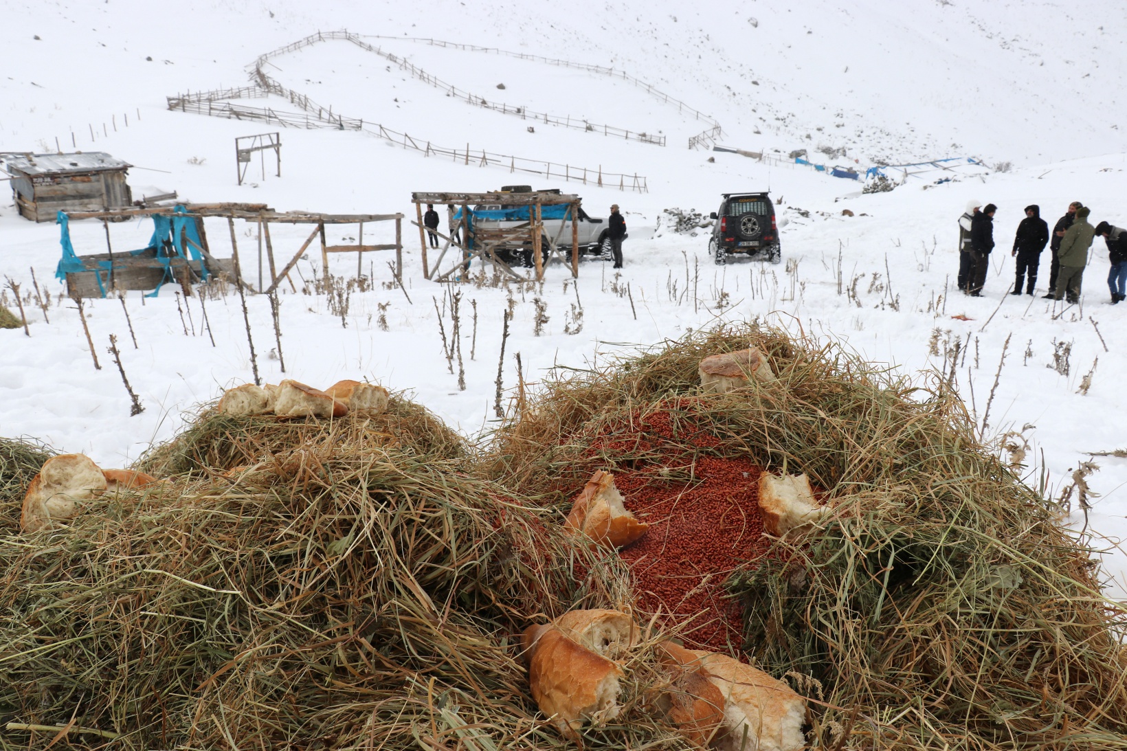Zorlu yolları bu kez yaban hayvanları için aştılar 13