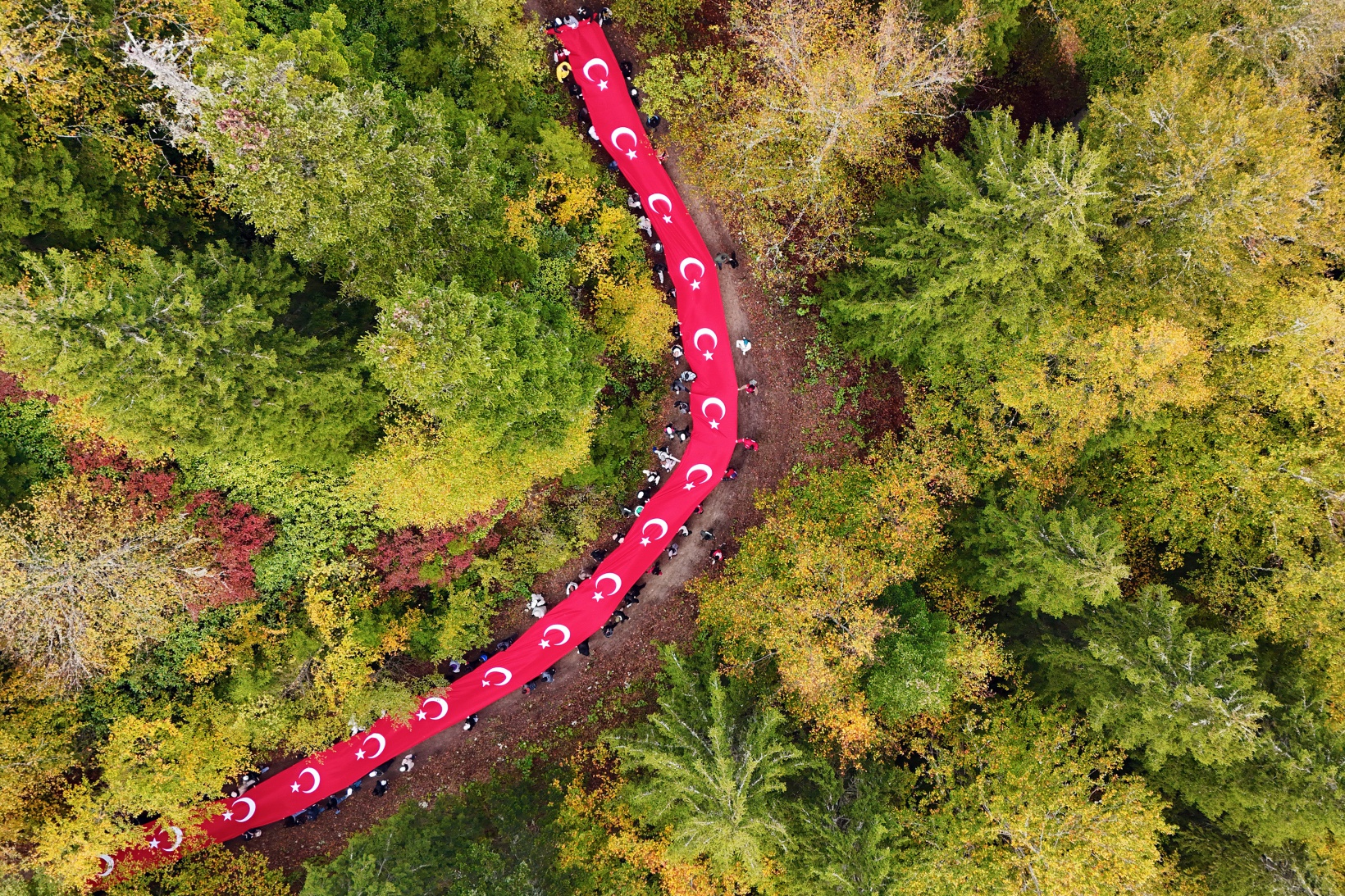 Örümcek Ormanlarında "Ormanlar İçin El Ele" etkinliği yapıldı 36