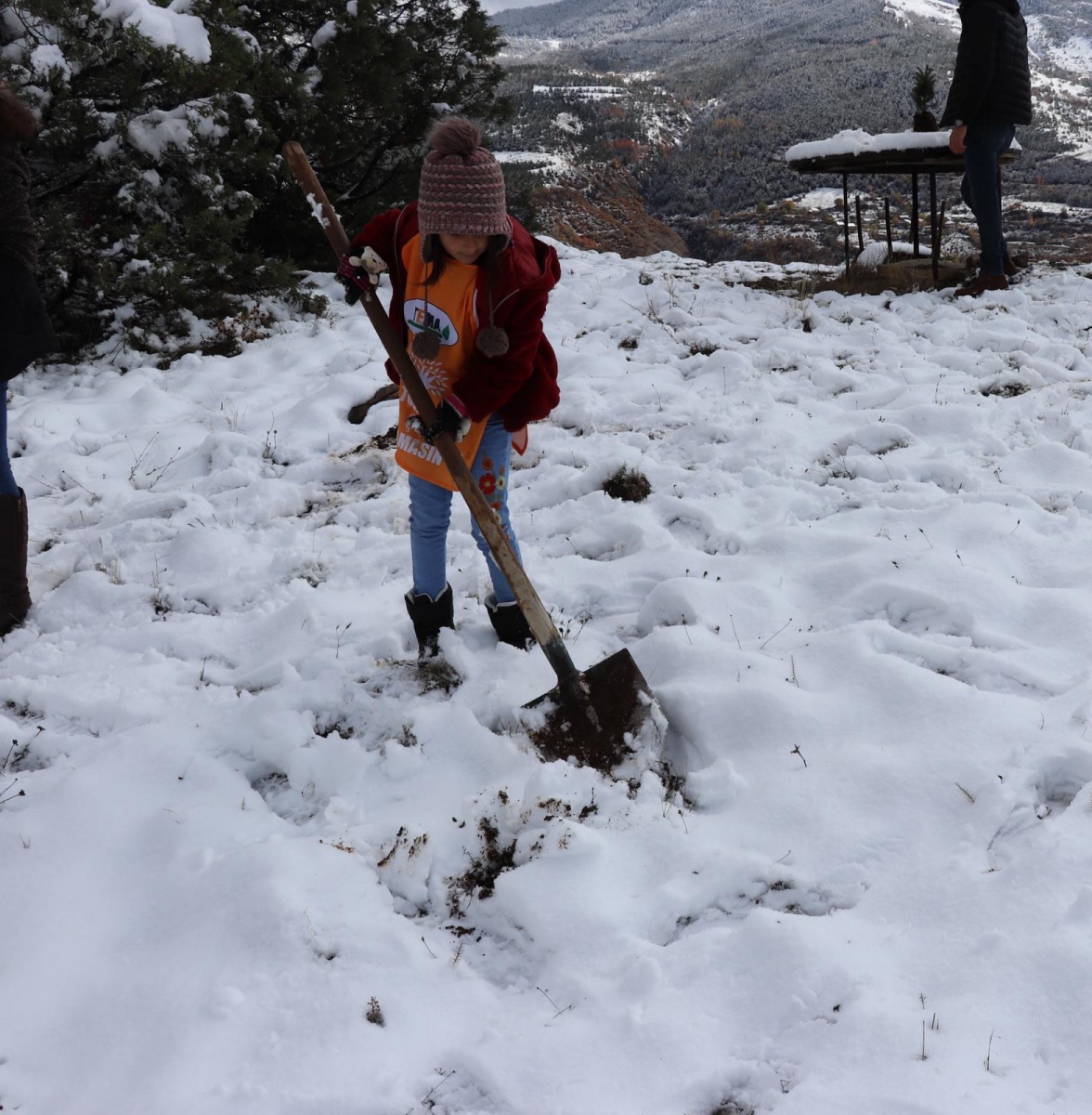TEMA 500 fidanı toprakla buluşturdu 12