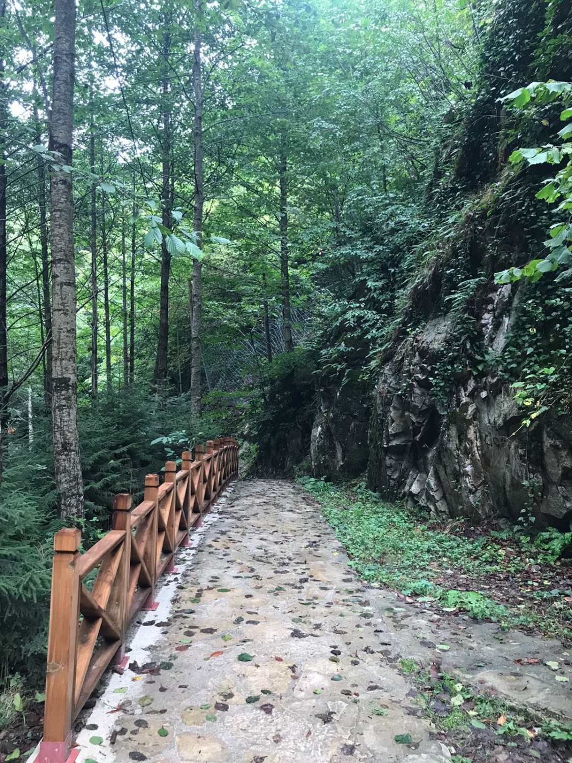 Saha Uygulamalarının İlk Durağı Kürtün Destinasyonu Oldu 4