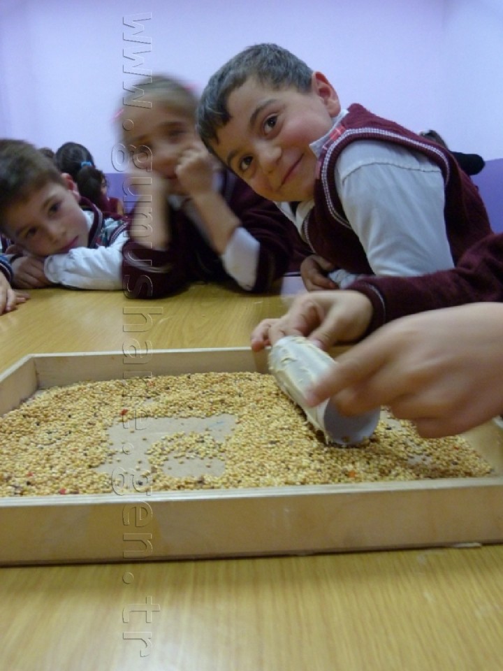 Minik Eller Kuşlar İçin 40 Yemlik Yaptı 25