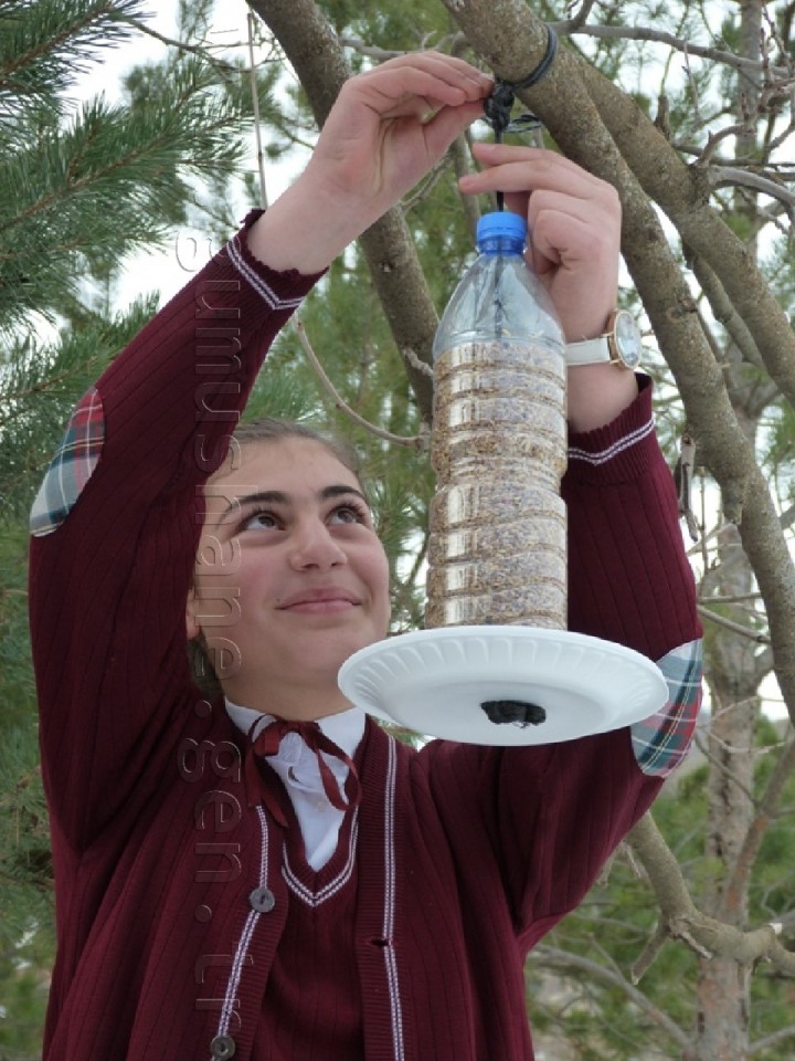 Minik Eller Kuşlar İçin 40 Yemlik Yaptı 26