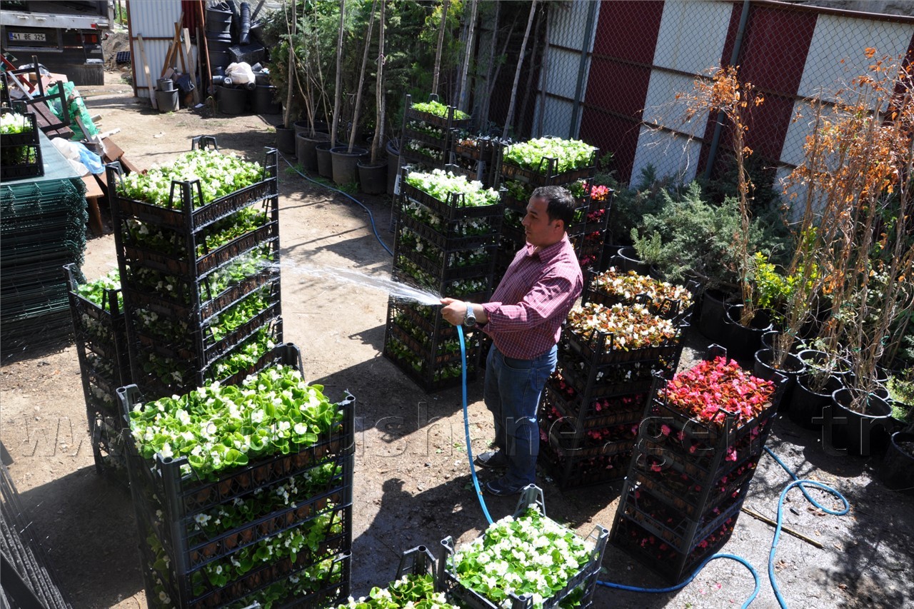 Gümüşhane Belediyesi çiçek dikim çalışmalarına başladı 2