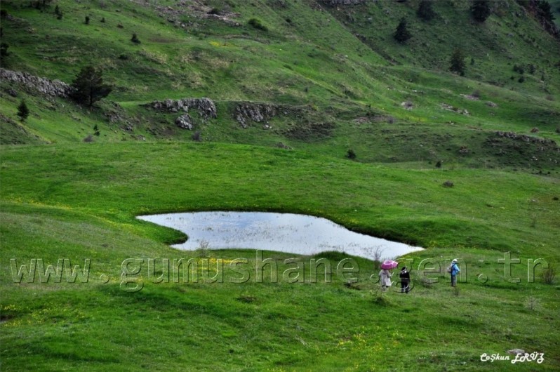 TEMA Vakfı Gümüşhane Dağlarında 1