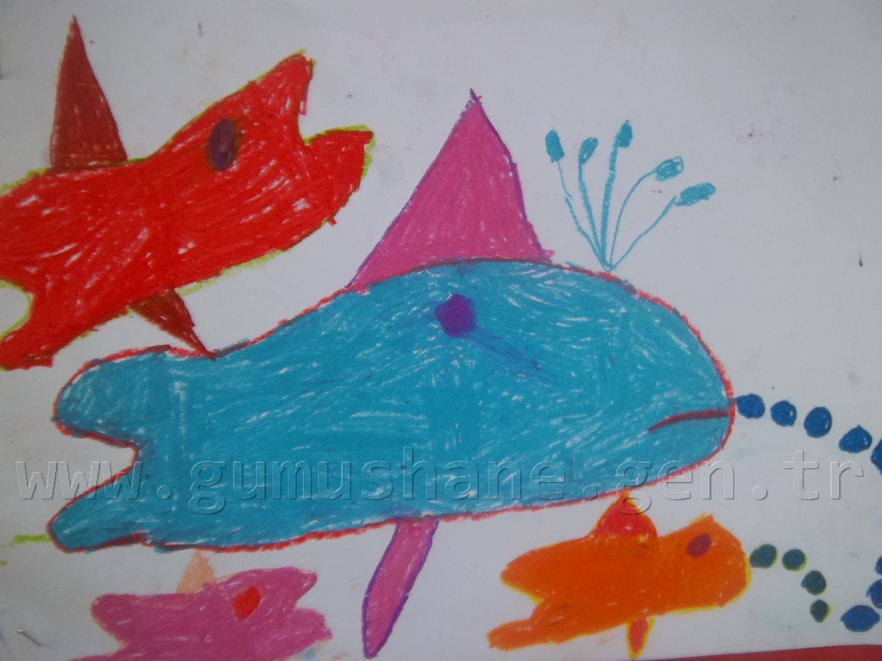 Minik Eller Resim Yarışması Sonuçlandı 1