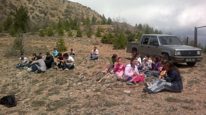 Tekke Gençlik ve Spor Kulübünden Fidan Dikimi 6