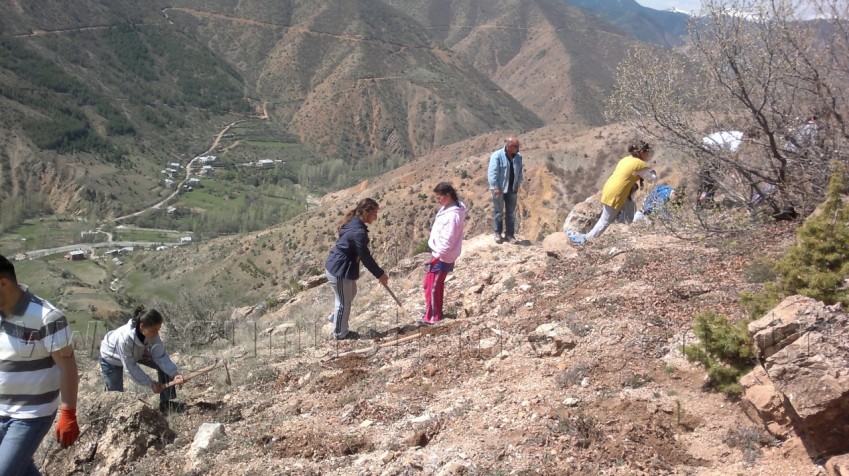 Tekke Gençlik ve Spor Kulübünden Fidan Dikimi 1
