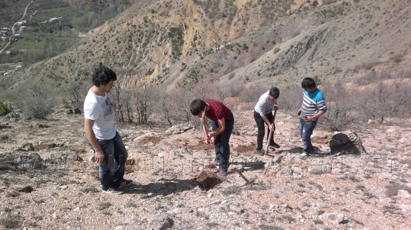 Tekke Gençlik ve Spor Kulübünden Fidan Dikimi 3