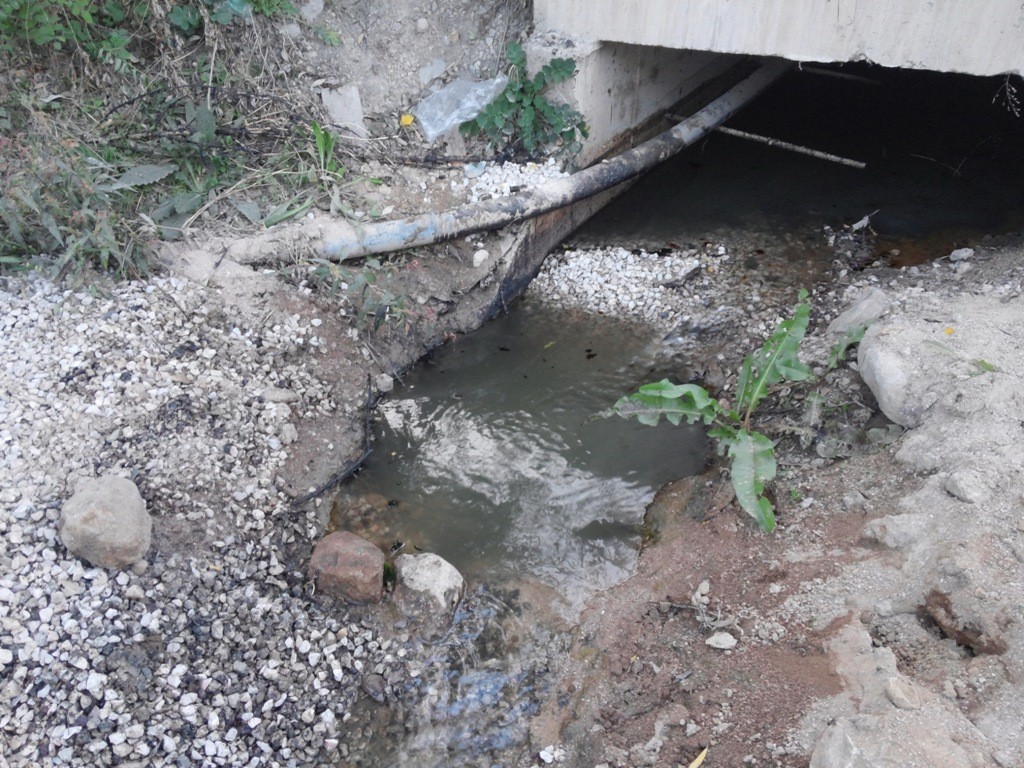 Harşite Kimyasal mı Karışıyor? 4