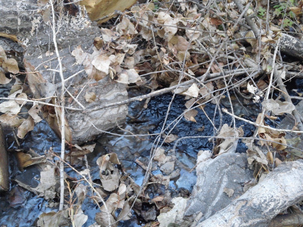 Harşite Kimyasal mı Karışıyor? 5