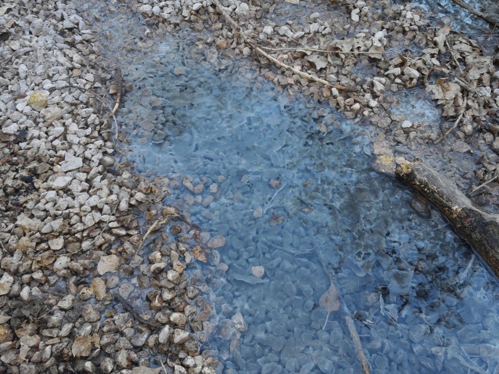 Harşite Kimyasal mı Karışıyor? 6