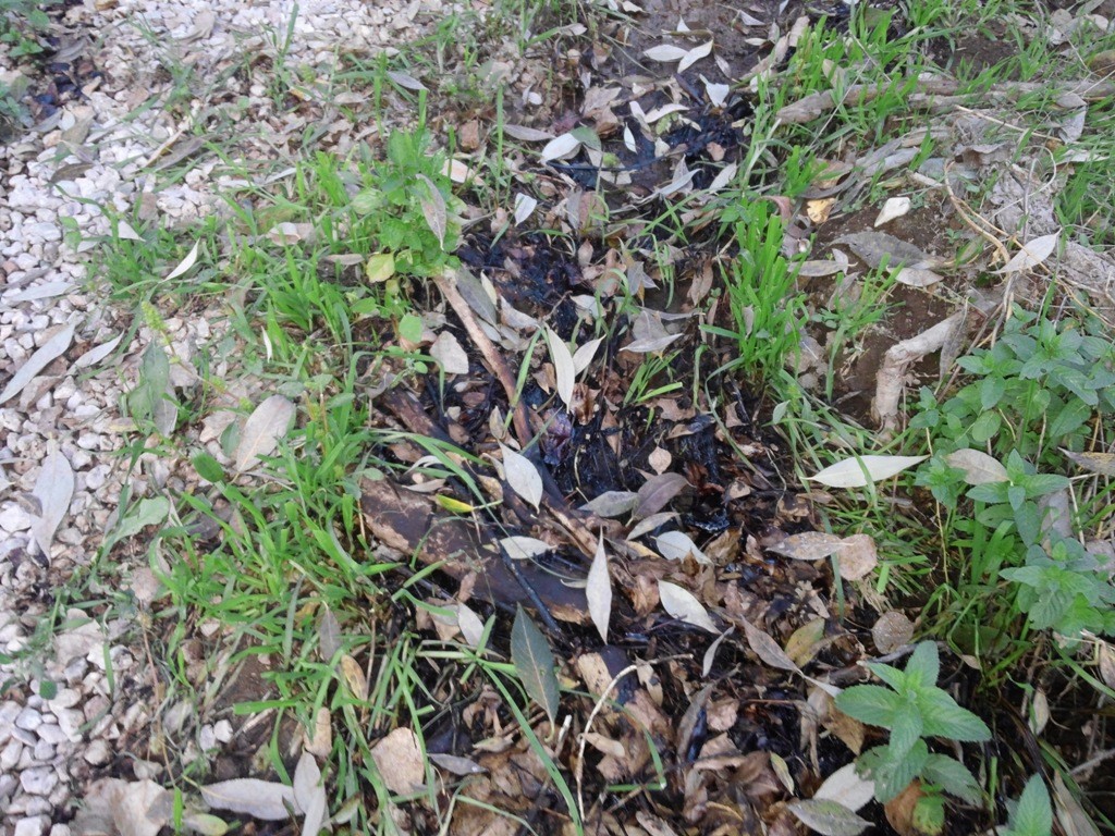 Harşite Kimyasal mı Karışıyor? 7