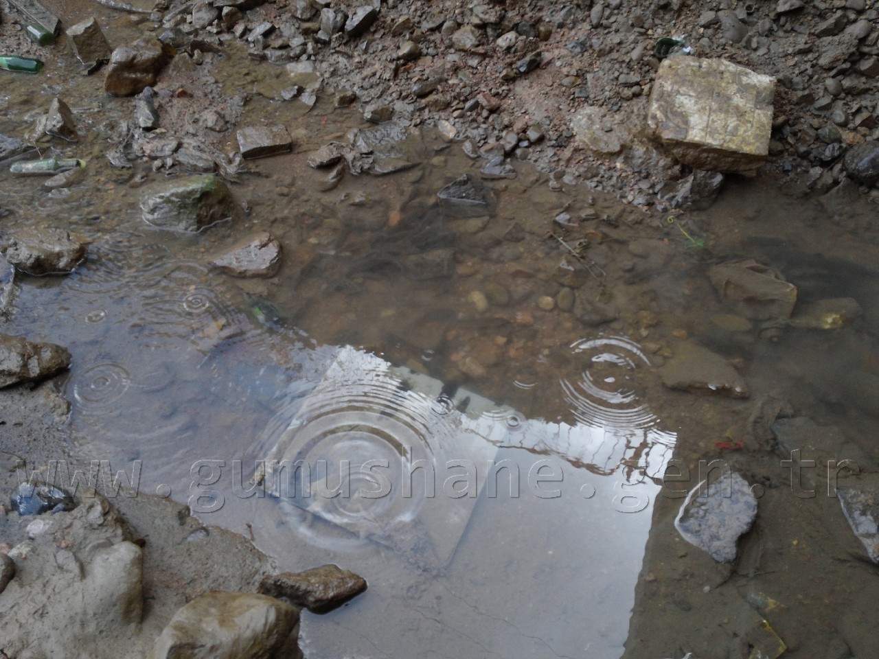 Harşit'te Katliam Devam Ediyor 6