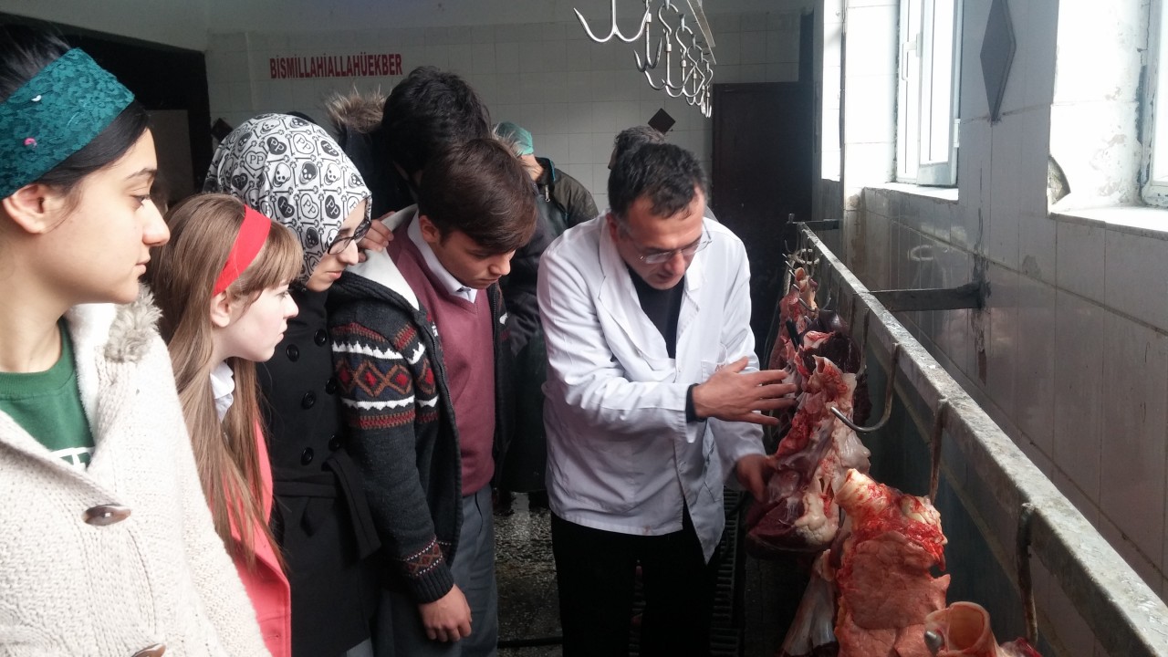 Fen Lisesi öğrencileri Mezbahanede 1