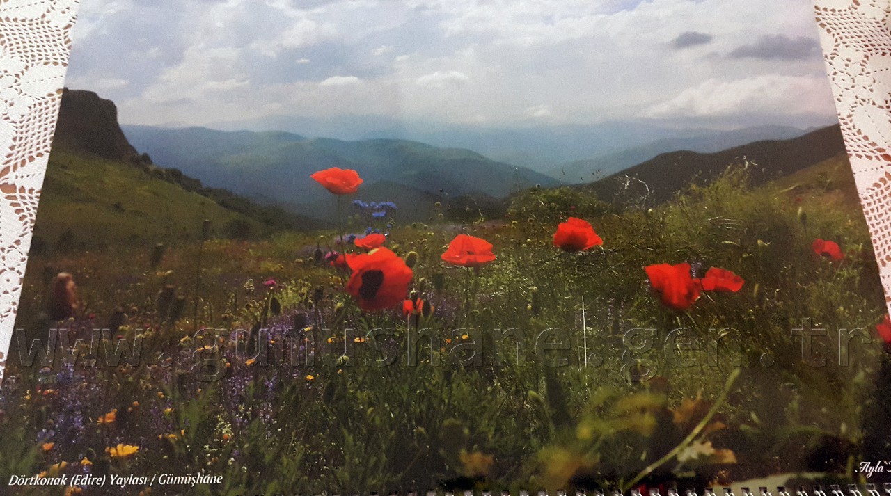 Gümüşhane sevdasını takvimlere işliyor 5