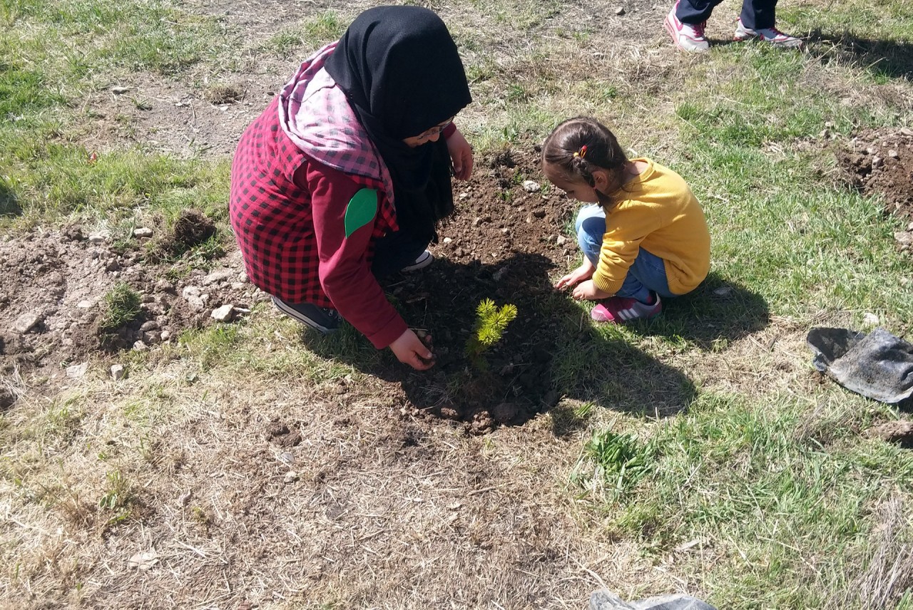 Kelkit’te su israfı anlatıldı, fidan dikildi 5