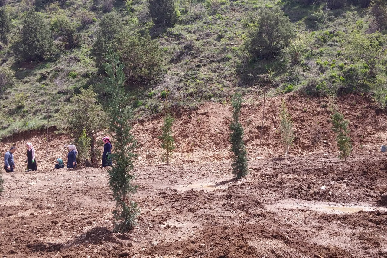 Gümüşhane’de anneler için 2016 fidan 1