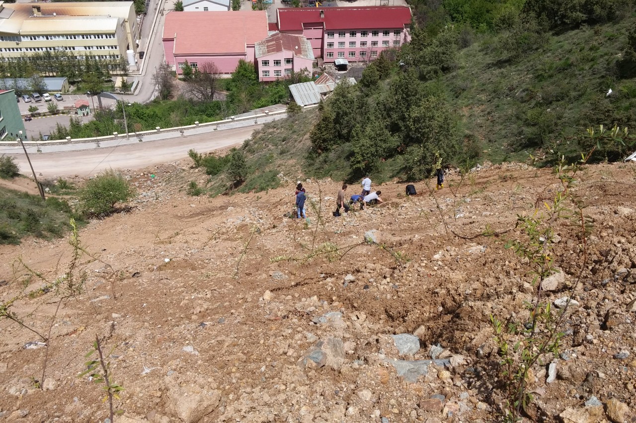 Gümüşhane’de anneler için 2016 fidan 2