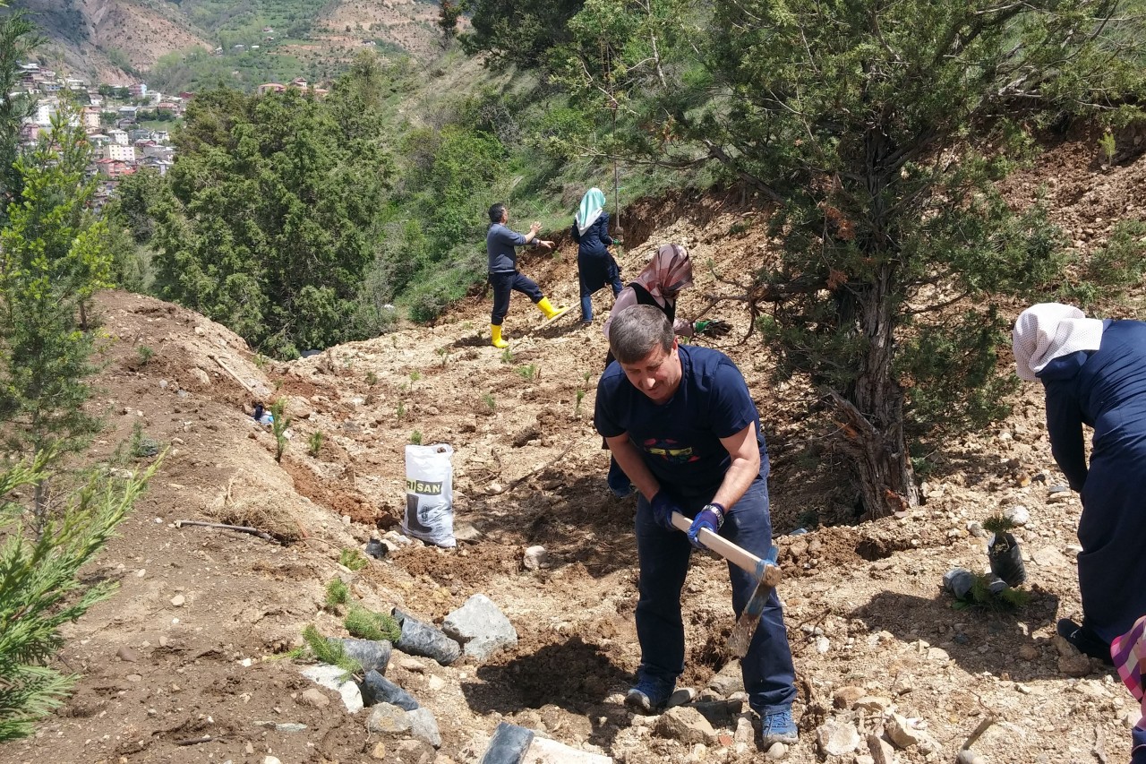 Gümüşhane’de anneler için 2016 fidan 5