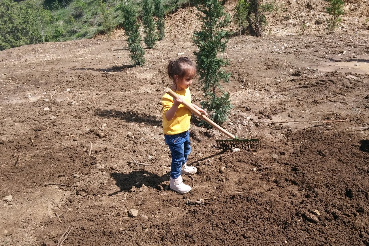 Gümüşhane’de anneler için 2016 fidan 10