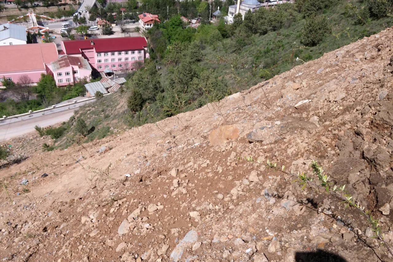 Gümüşhane’de anneler için 2016 fidan 12