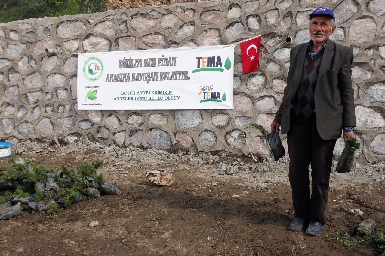 Gümüşhane’de anneler için 2016 fidan 14