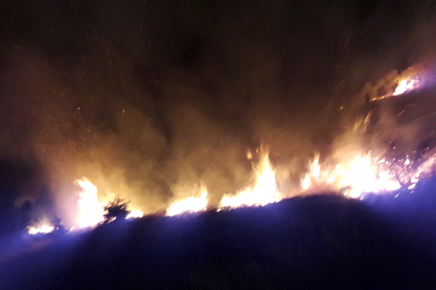 Gümüşhane’de iki ayrı orman ve örtü yangını 8