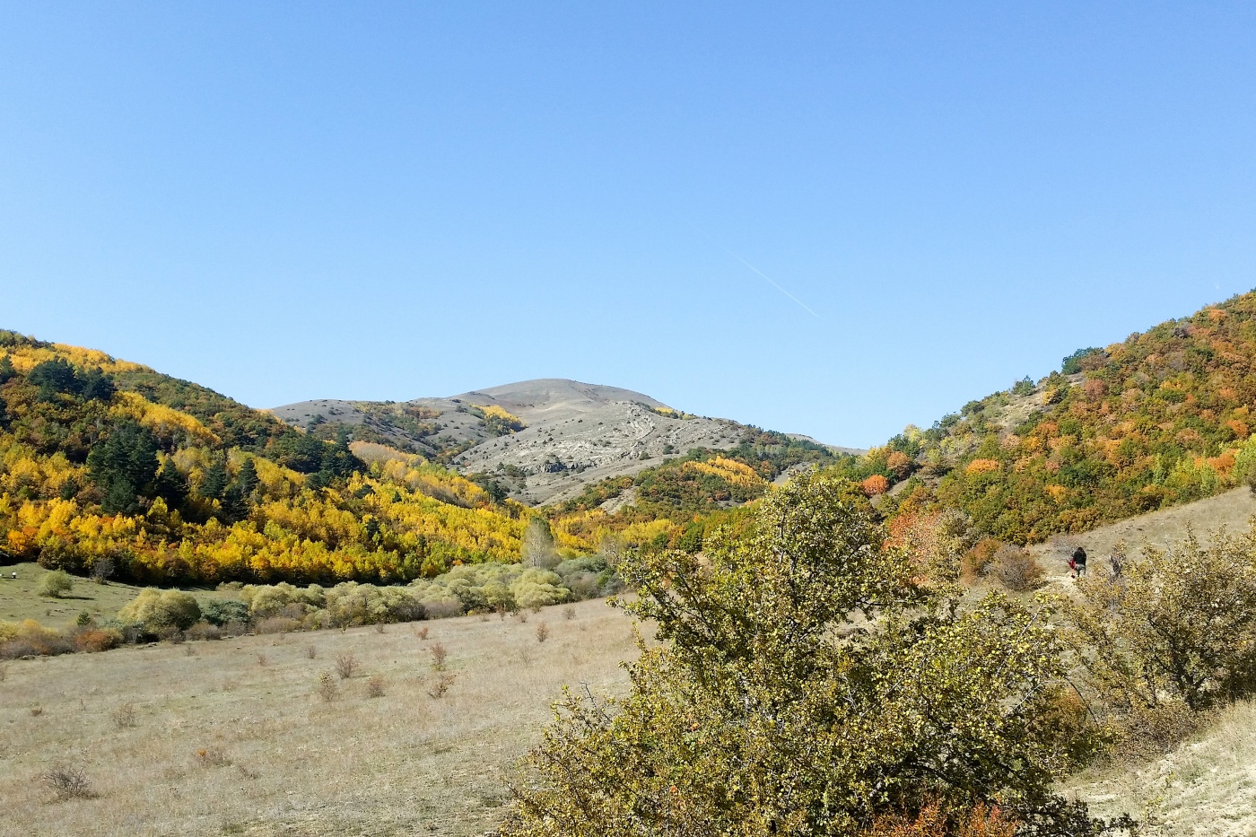 Gümüşhaneli dağcılardan Güzyurdu köyüne ‘güz’ yürüyüşü 4