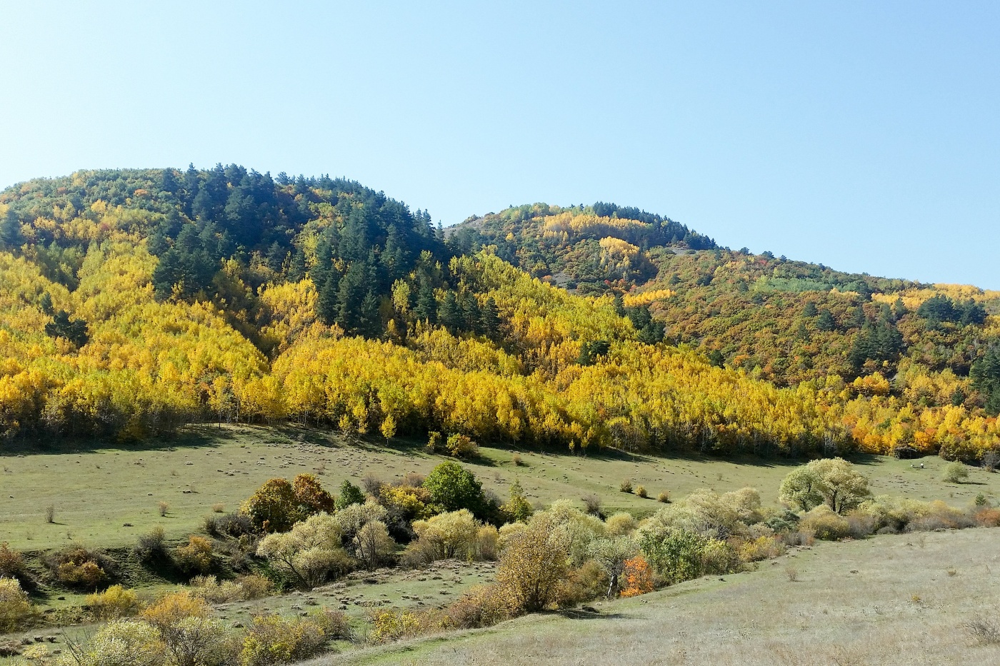 Gümüşhaneli dağcılardan Güzyurdu köyüne ‘güz’ yürüyüşü 1