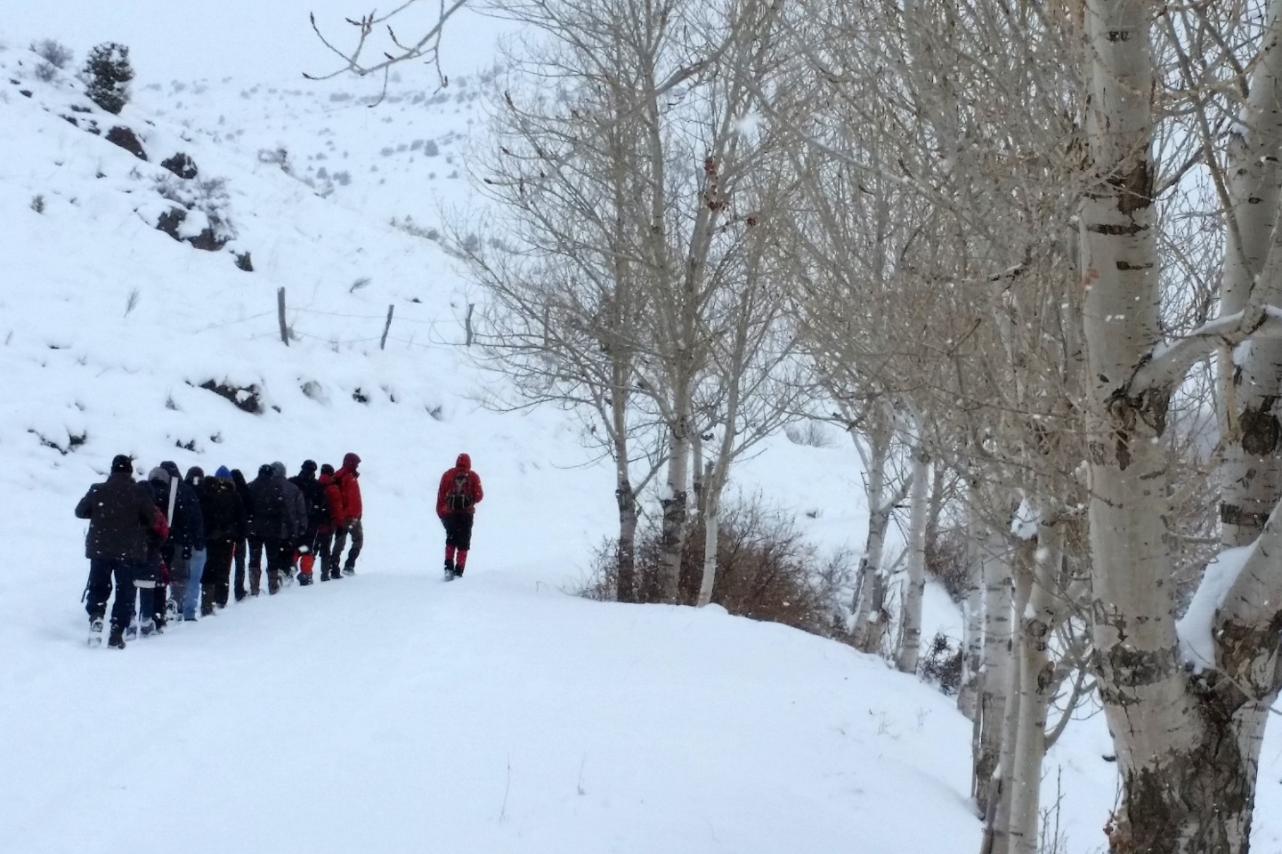 Gümüşhaneli dağcılar kar altında yürüdü 1