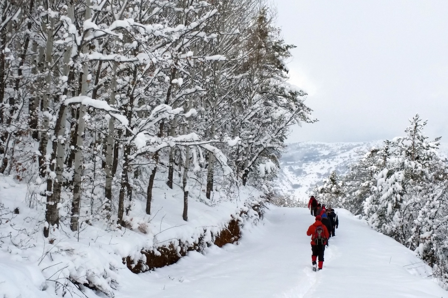 Gümüşhaneli dağcılar kar altında yürüdü 3