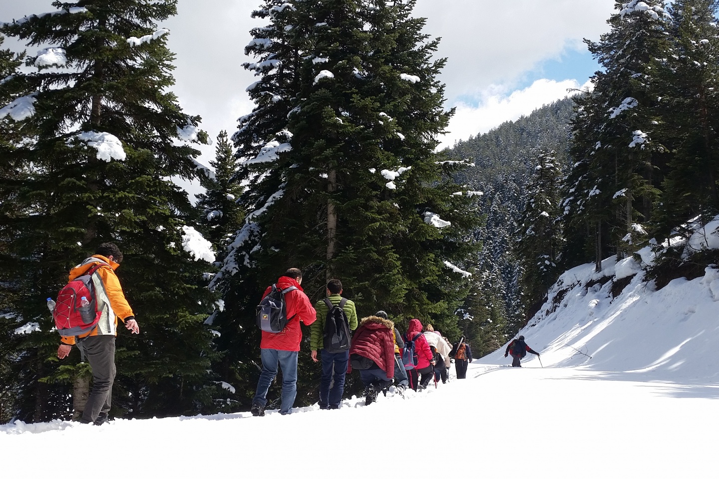 Gümüşhaneli dağcılardan yürüyüş 6