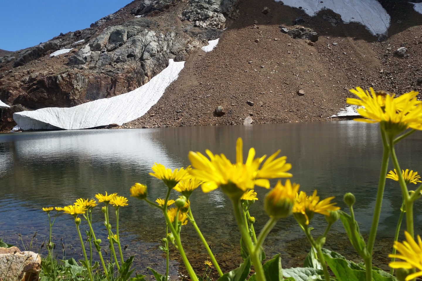 Gümüşhaneli dağcılardan Artabel yürüyüşü 6