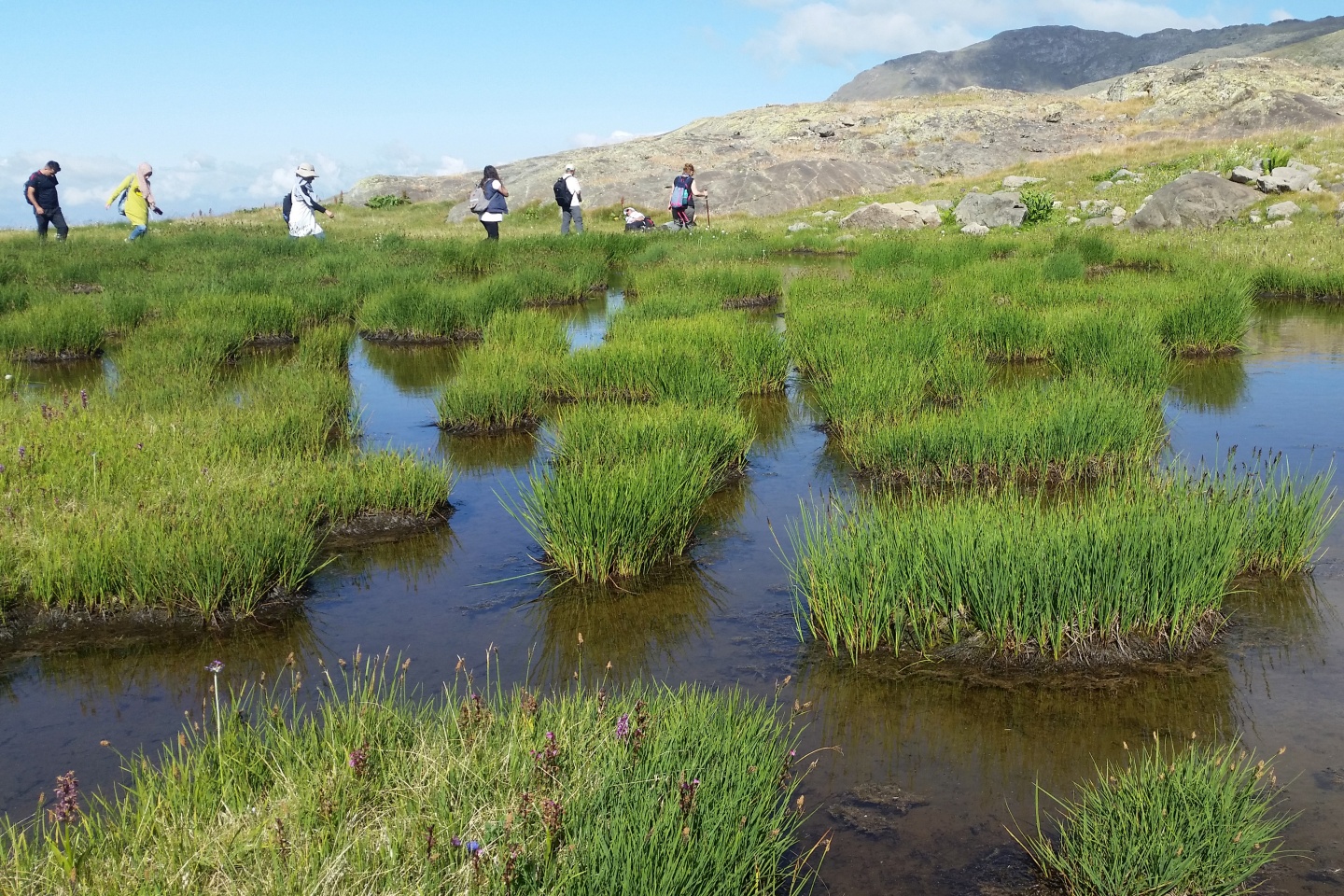 Gümüşhaneli dağcılardan Artabel yürüyüşü 9