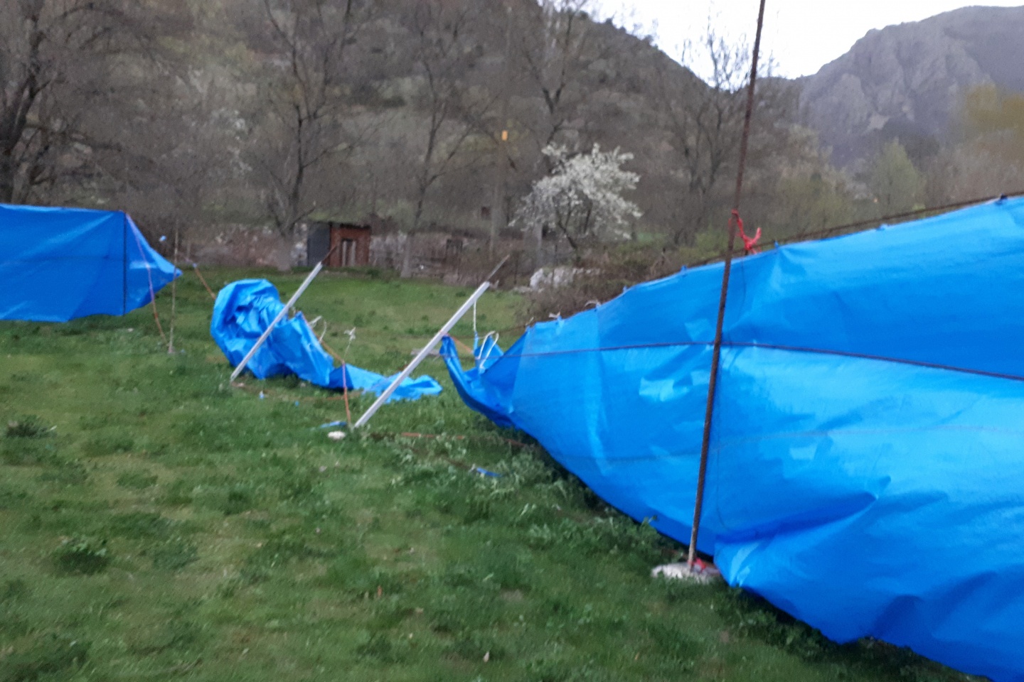 Gümüşhane'de rüzgar kovanları böyle dağıttı.. 2