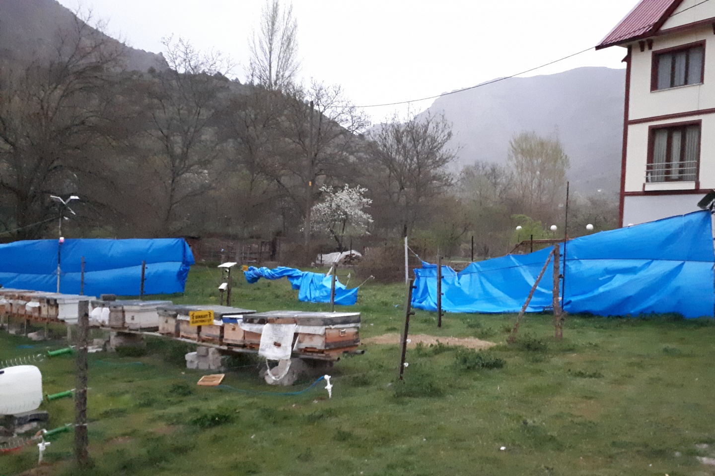 Gümüşhane'de rüzgar kovanları böyle dağıttı.. 3