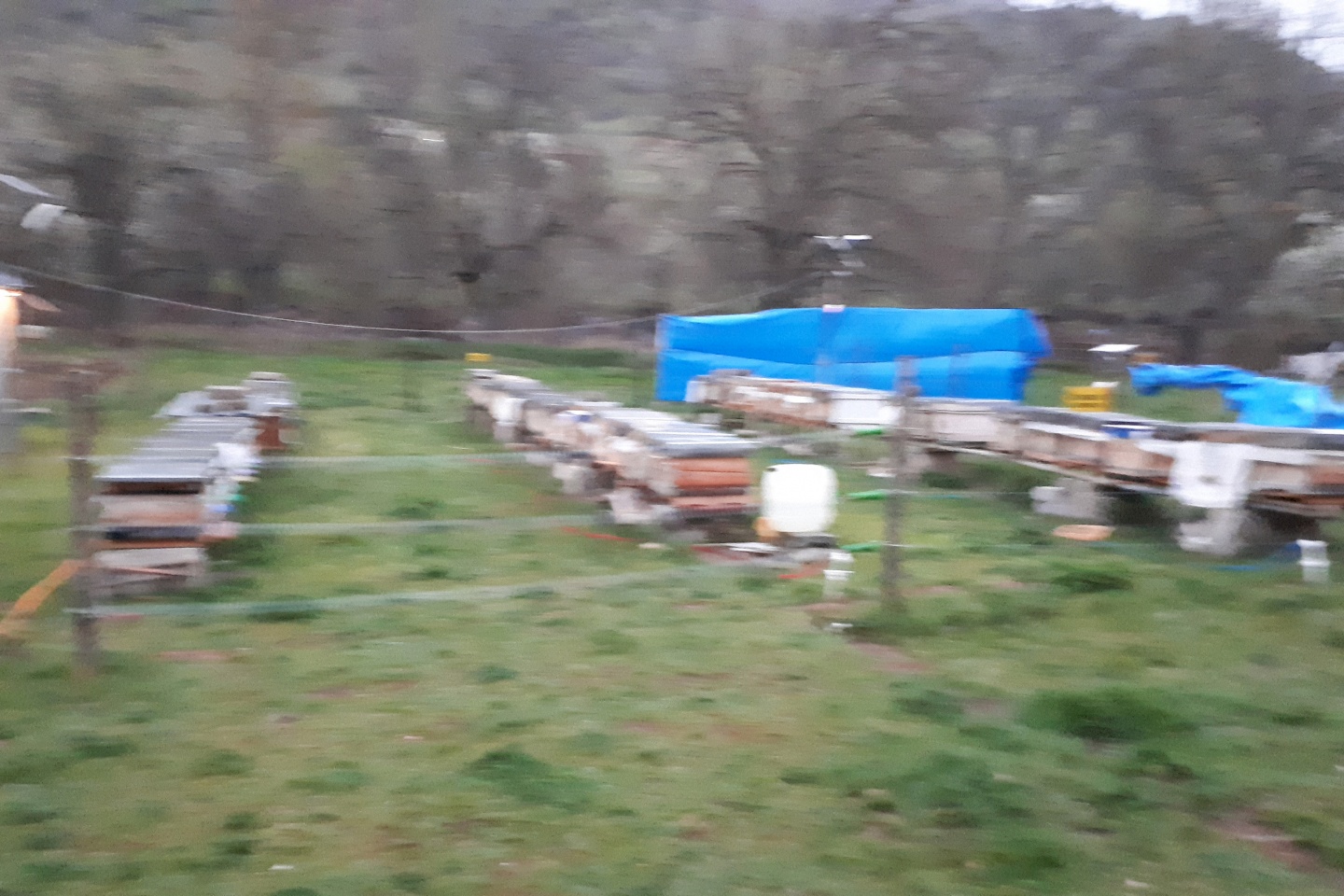 Gümüşhane'de rüzgar kovanları böyle dağıttı.. 8