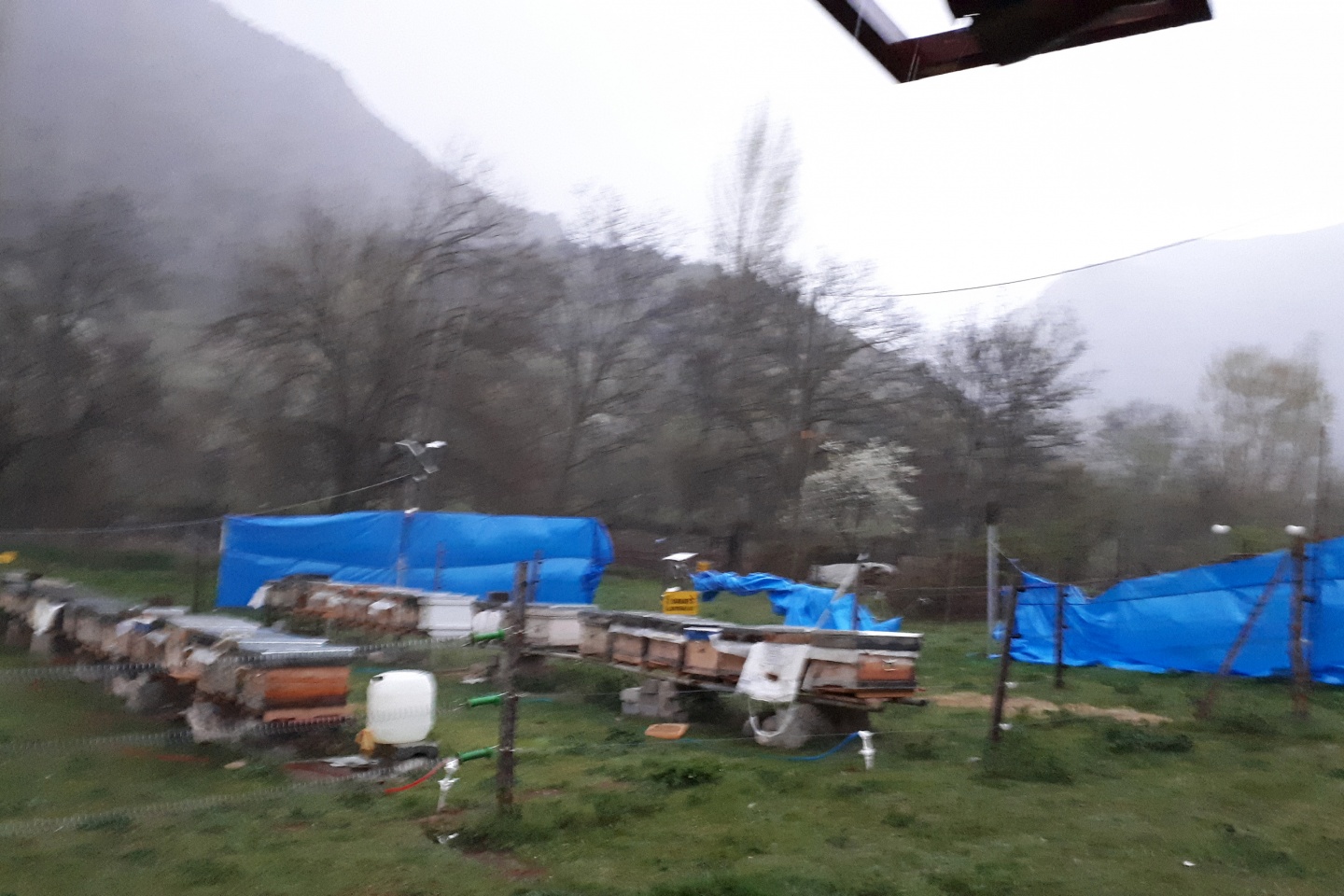 Gümüşhane'de rüzgar kovanları böyle dağıttı.. 7