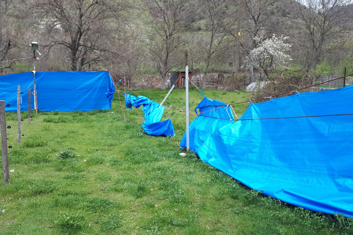 Gümüşhane'de rüzgar kovanları böyle dağıttı.. 9