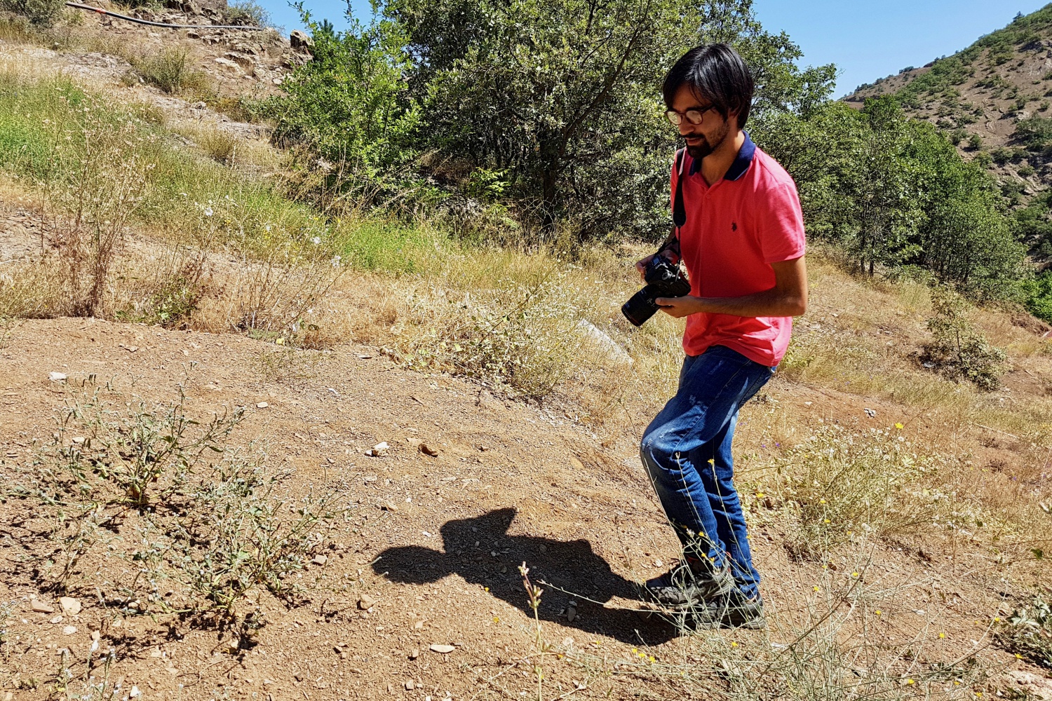 Gümüşhane kelebeklerine yeni bir tür daha eklendi 7