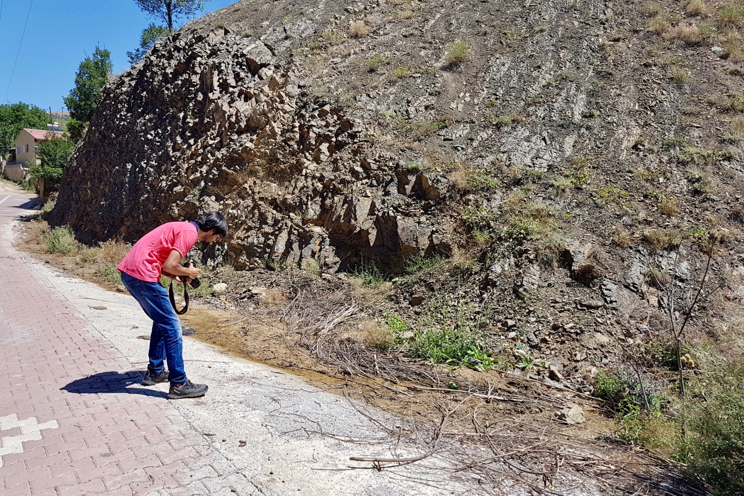 Gümüşhane kelebeklerine yeni bir tür daha eklendi 4