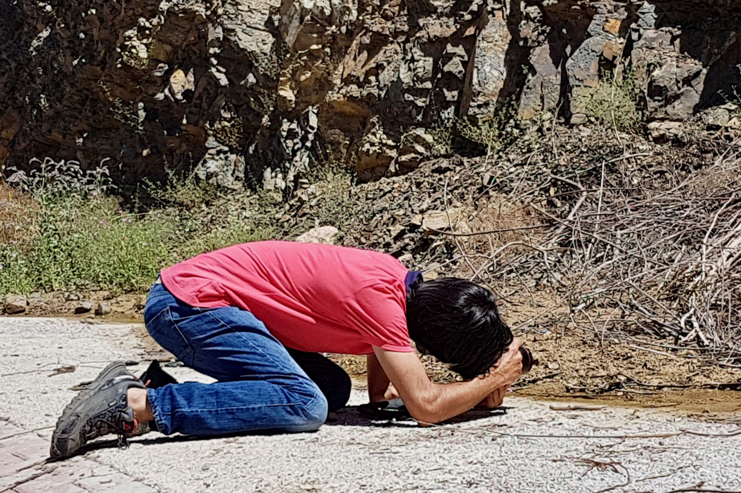 Gümüşhane kelebeklerine yeni bir tür daha eklendi 1