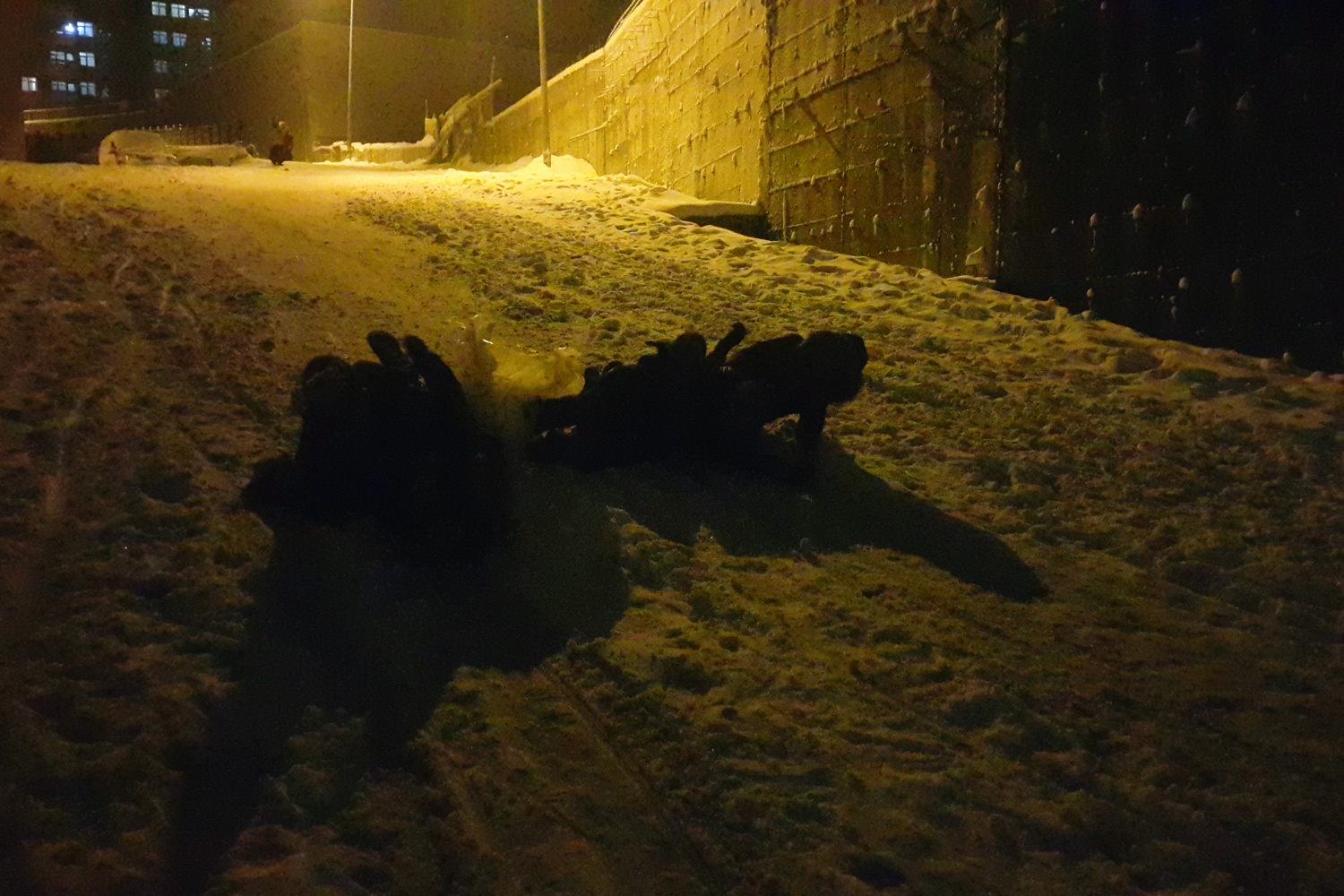 Poşetini alan geldi... alan geldi... 6