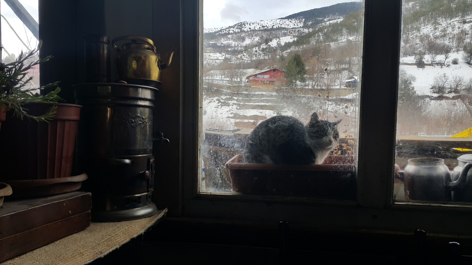 Bu kahvenin maskotu: Nazeker 8