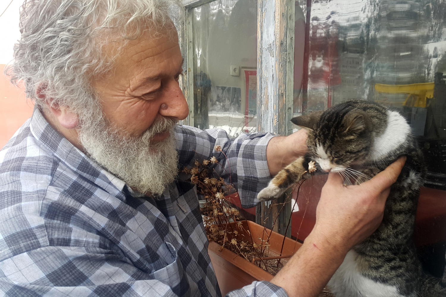 Bu kahvenin maskotu: Nazeker 7