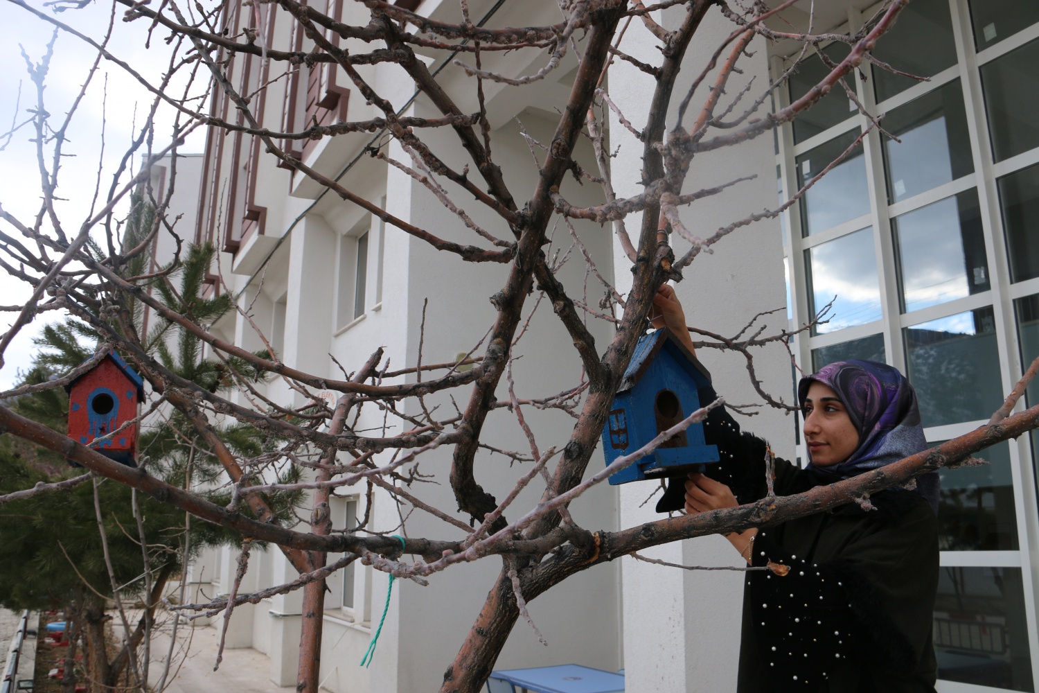 KYK'lı hayvanseverler işbaşında 10
