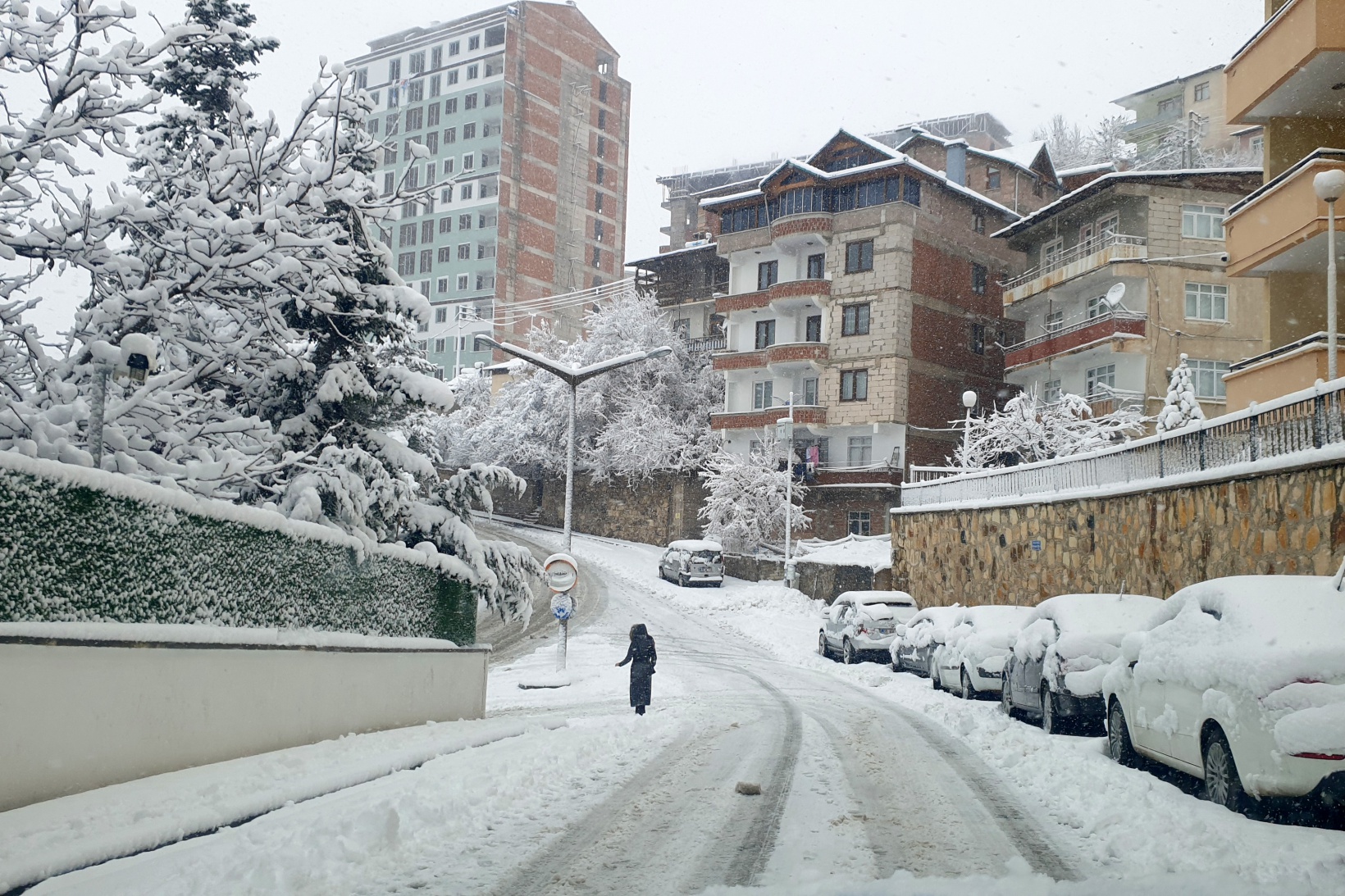 Gümüşhane'de etkili kar yağışı 3
